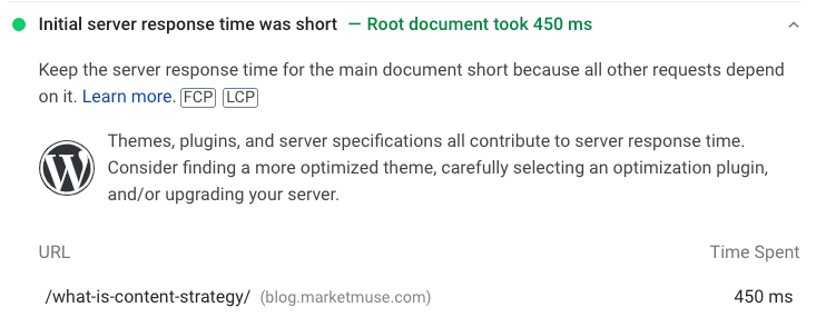 PageSpeed Insights passed audit showing initial server response time.