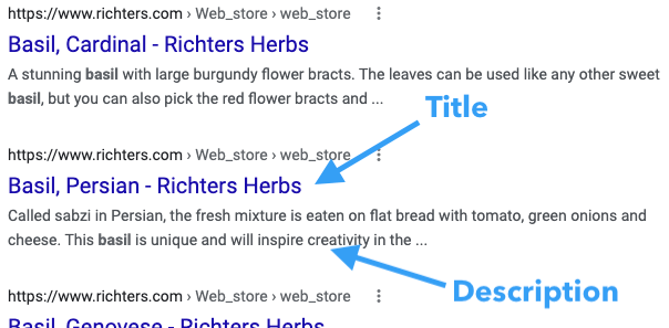 Google SERP showing title and meta description.